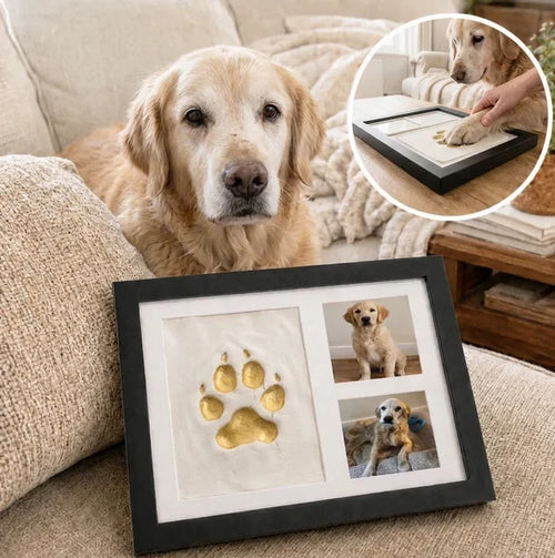 Forever Paw Print Keepsake Kit
